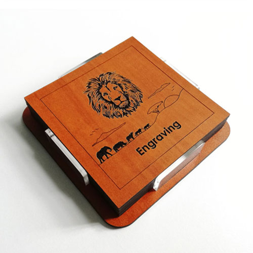 Beverage Coasters Set - Big 5 Lion
